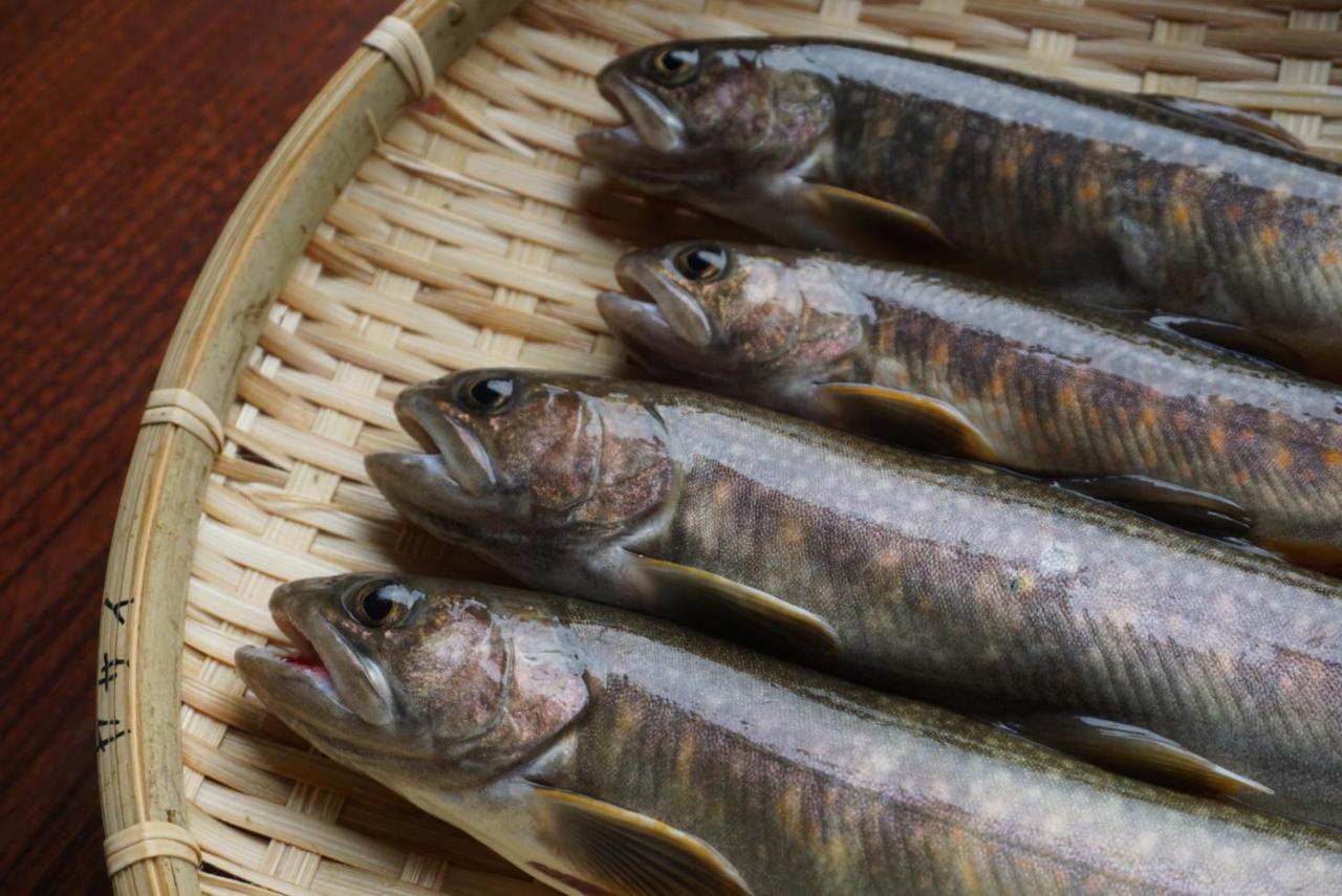 Shiroyamakan 시라카와 외부 사진